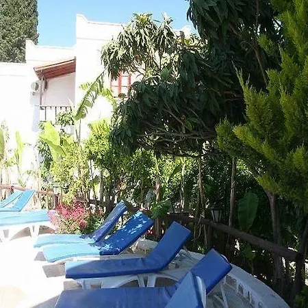 Hotel Basri